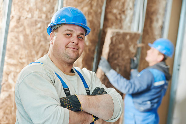 Best Insulation Maintenance and Repair in North Olmsted, OH