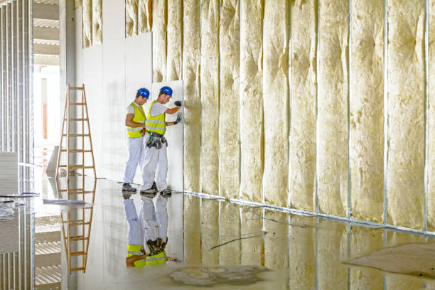 Best Residential Insulation in North Olmsted, OH